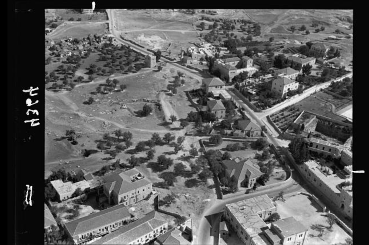 Lorenzo Kamel tweet media