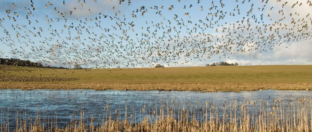 Matt (he/him) tweet media