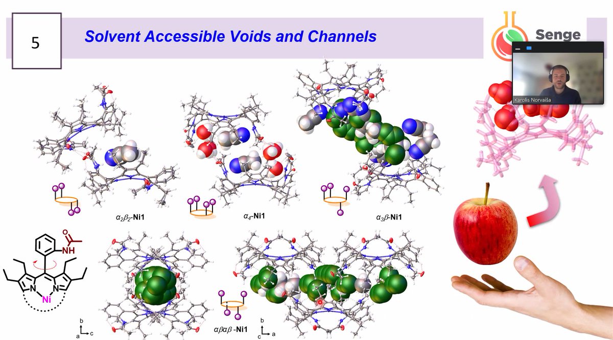 mathiassenge's tweet photo. Great talk by @9karolis9, @IrishResearch PhD scholar @TCD_Chemistry at the 20th #CSCB (Centre for Synthesis and Chemical Biology) meeting on the development of nonplanar picket fence #porphyrins as sensors 😄🥳👏👏👏 https://t.co/D7PhMcB6tM