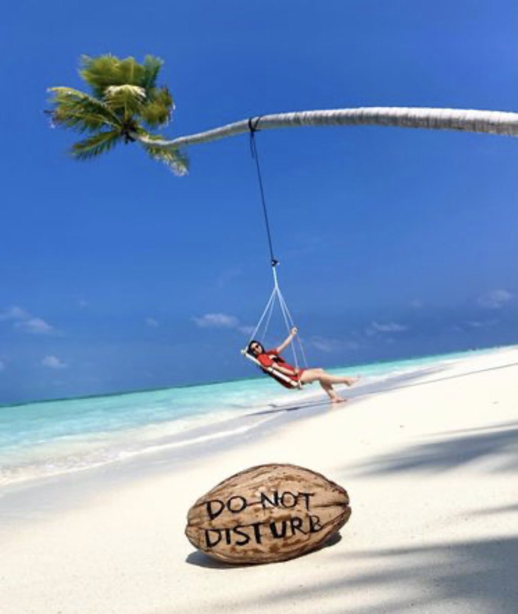 Dragonfly Holidays tweet media