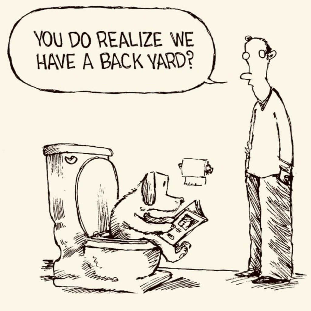 appmarketingx's tweet image. Dogs understand logic and can count. 🐶🐱🐭🐮 What if you could teach them how to read?? #dogtrainingtips #howtocount #howtoreadabook &amp;gt;&amp;gt;&amp;gt; support@appsolutemarketingx.com &amp;lt;&amp;lt;&amp;lt;