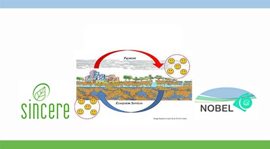 intercede_eu's tweet image. 3⃣...Opportunities &amp;amp; challenges for EU-wide PES systems

👉Trade-offs, demand, financing, compliance, locality, benefits, ownership,  society... It's complicated!

✅Objectives, ambition, flexibility and innovation are key!
#sincereforests