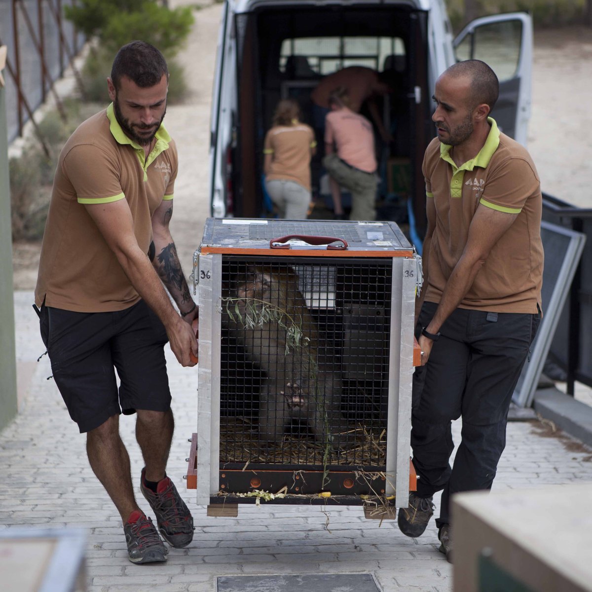 AAP_Europe's tweet photo. It's #InternationalAnimalRightsDay 🥳
#AnimalWelfare protection requires the right laws & we use our rescue expertise to fight for this, every single day
Did you know in the past 5 years, 12 EU countries adopted bans on wild animals in circuses & 4 a #PositiveList4Pets?!💪💪💪 https://t.co/M194wL7VTj