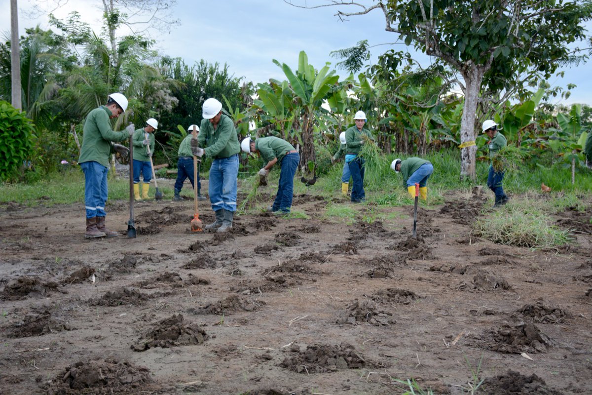 EPPetroecuador's tweet photo. El Proyecto Amazonía Viva de @EPPETROECUADOR  enfoca sus esfuerzos a la restitución de los derechos de la naturaleza y de las comunidades para vivir en un ambiente libre de contaminación. 
▶️Si deseas conocer más: https://t.co/n8WvacBuBG
#PolíticaPetrolera
#JuntosLoLogramos https://t.co/PnwLfuzufh