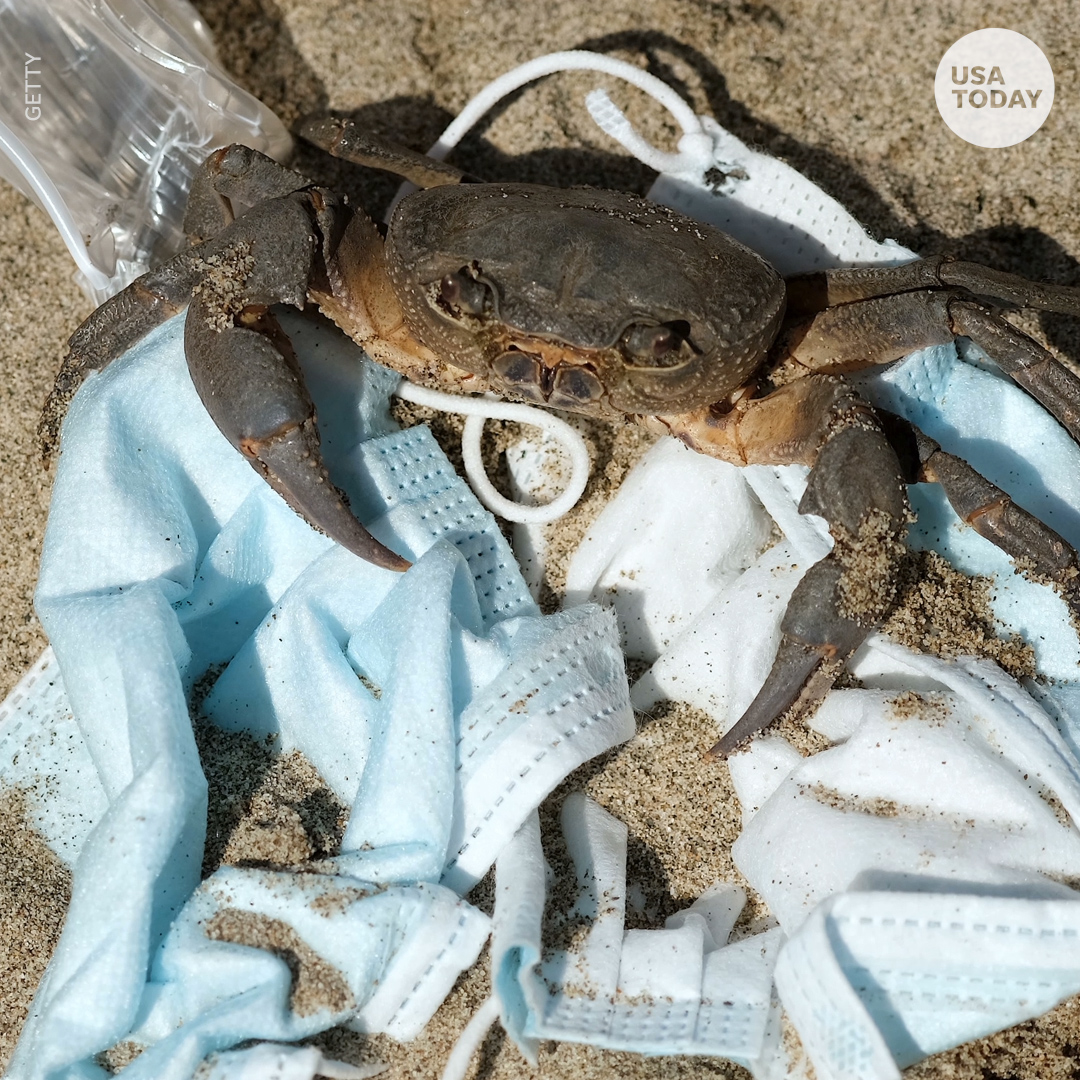 bf1hsgvykje9em bf1hsgvykje9em