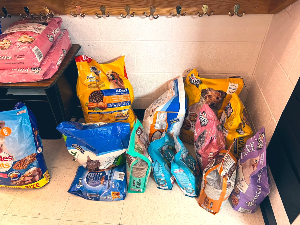 CDGerhard's tweet photo. @FairOaksRanchES Student Council has been hard at work promoting their "Helping Christmas Critters" supply drive! The Mustangs are coming out in full force to support Boerne Animal Care Services!! 3 more (school) days to go!!! https://t.co/vIH9eiaIvc
