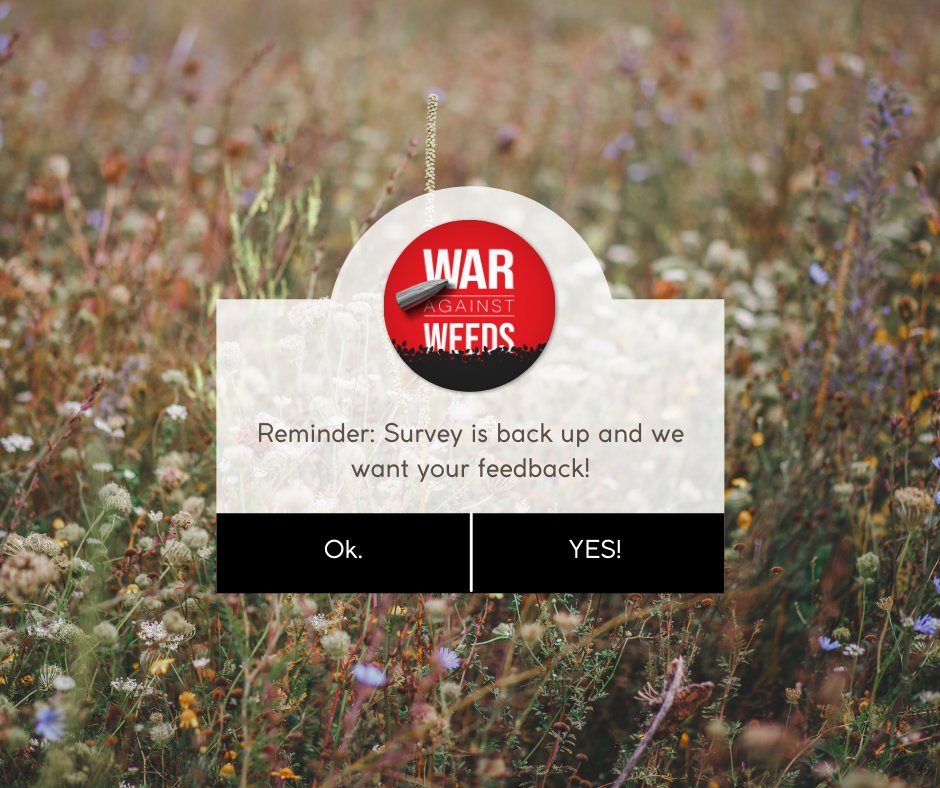 WarAgainstWeeds's tweet photo. We want help improving our podcast and weed extension. Please consider taking this short survey.
https://t.co/tbixAKtBgO
#WarAgainstWeeds #WeedExtension #Survey https://t.co/7f4nhfW18P