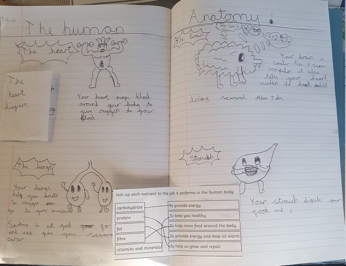 JCA_Science's tweet image. Year 6 have created their own summaries of what they have learnt this half term. Their use of vocabulary has been excellent. #JCAScience #retrieval #rememberingmore