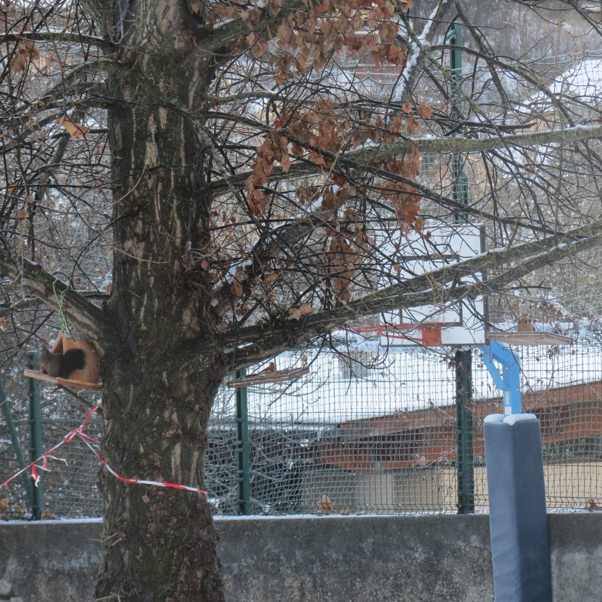 Une journée enneigée, certains viennent se restaurer.