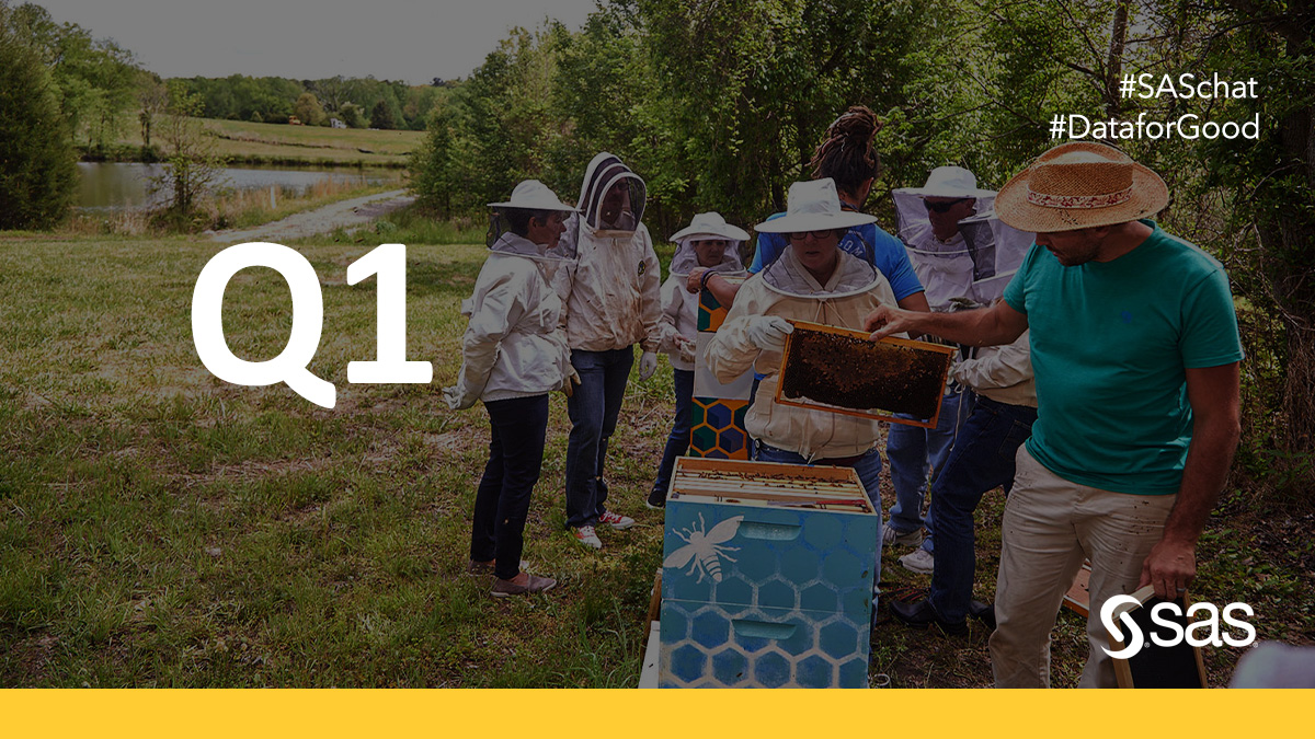 sasforums's tweet photo. Q1: What are some of the challenges affecting the honey bee population worldwide? #SASchat #DataforGood https://t.co/L8A7xQAUn0
