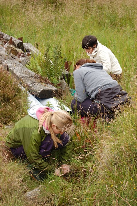 Come work with us! 🔬👩‍🔬☘️🍄

Biodiversity Co-ordinator &amp; Principal Curator Botany, National Museum Cardiff
Closing date: 7 January 2022 (by 5pm)

For more information 👉museum.wales/jobs/current-j…