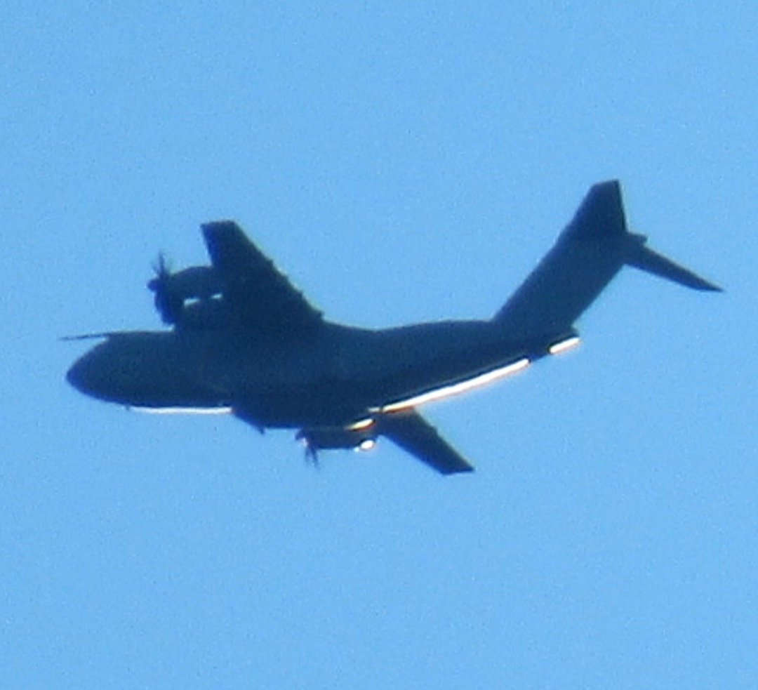 BloodyPolitics's tweet photo. Into an impossibly blue sky 🌞

Belgian Air Force Atlas A400m #BAF656 bids Scotland farewell after a short stopover.

#AvGeek 
#CT02
#Prestwick Airport https://t.co/aSpJNNcBhs