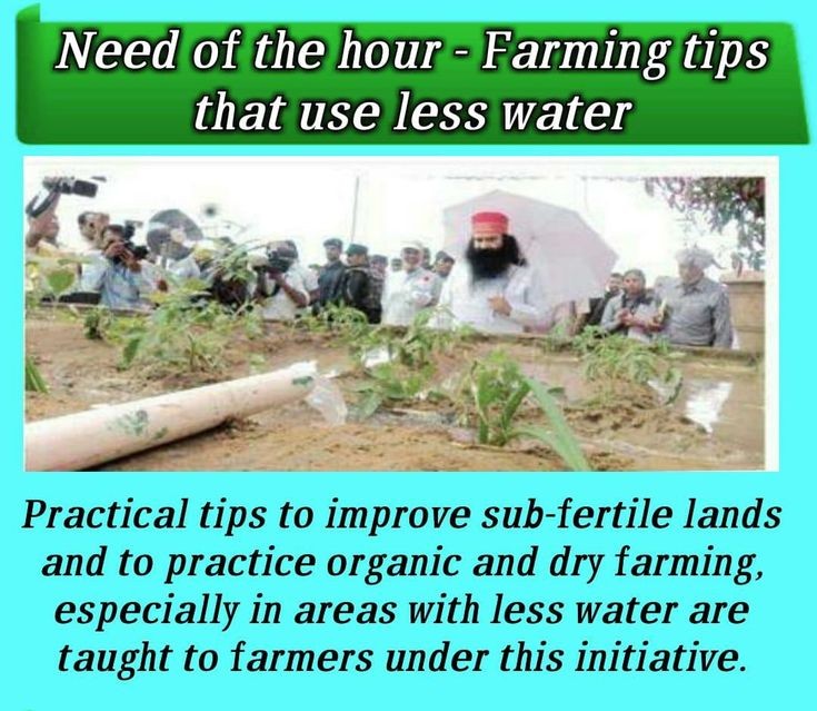 Saint Dr Gurmeet Ram Rahim Singh Ji Insan provides tips to improve sub-fertile lands and also to practice #OrganicFarming & #ScientificFarming. This is especially useful in areas with less water.
#AgricutureTipsByMSG
#KisanMela
#DeraSachaSauda 
#BabaRamRahim 
#SaintDrMSG