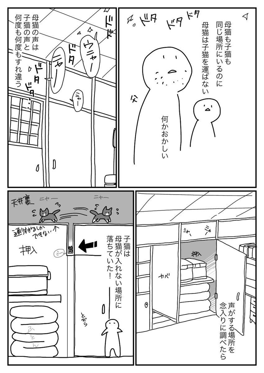 最近の天井ネズミ騒動で、小学校のころ飼ってた猫の子どもが天井裏のスキマに落ちたのを思い出しました。 