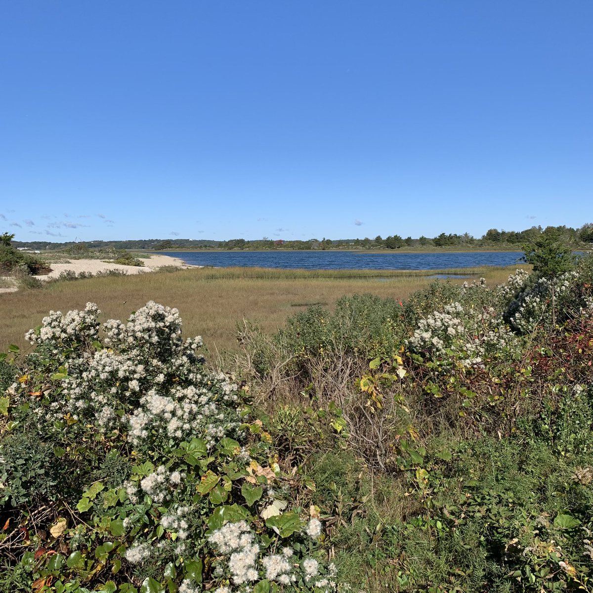 CTFortTrumbull's tweet photo. Looking for a 2022 #FirstDayHike? We are offering two this year! Join @FortGriswold at noon for a guided tour around the Fort. Or meet me at
#BluffPoint in #Groton to hike at 11. Please dress appropriately for the weather. @CTStateParks https://t.co/33gxjIgWmA