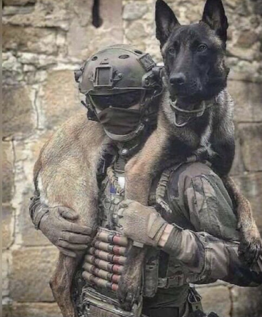 軍用犬にも、頭が下がります。
感謝🥲🙏🙏🙏🙏🙏