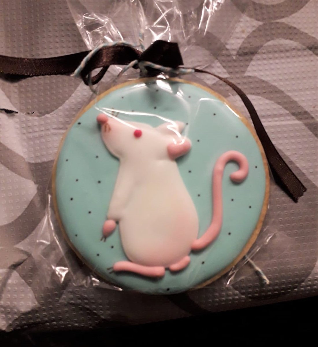 JosepePrieto's tweet photo. LAS galletas en la juntada del grupo de Neuroendocrinología de los Comportamientos Afiliativos ... 🐁🐁💚
Tremendas!
https://t.co/zyhqfdMiaN
#RatBehavior #RataWistar https://t.co/0ehREkTXtu
