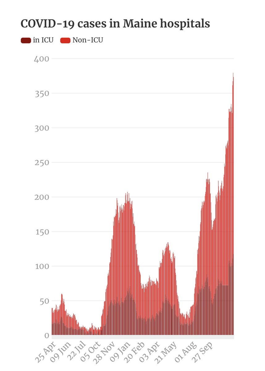 Matthew Hayn tweet media