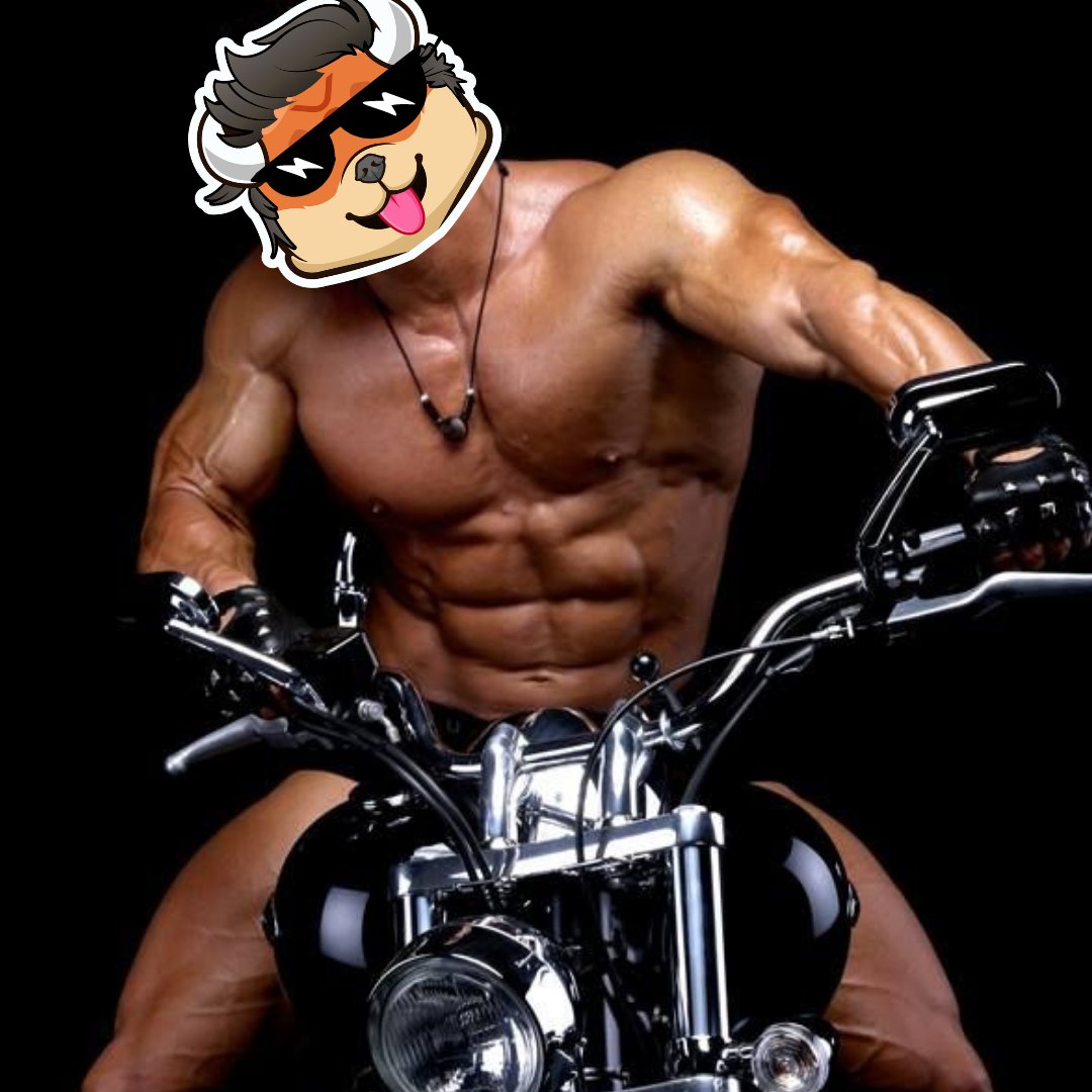 Bully Bulldoge - #BBULLDOGE tweet media