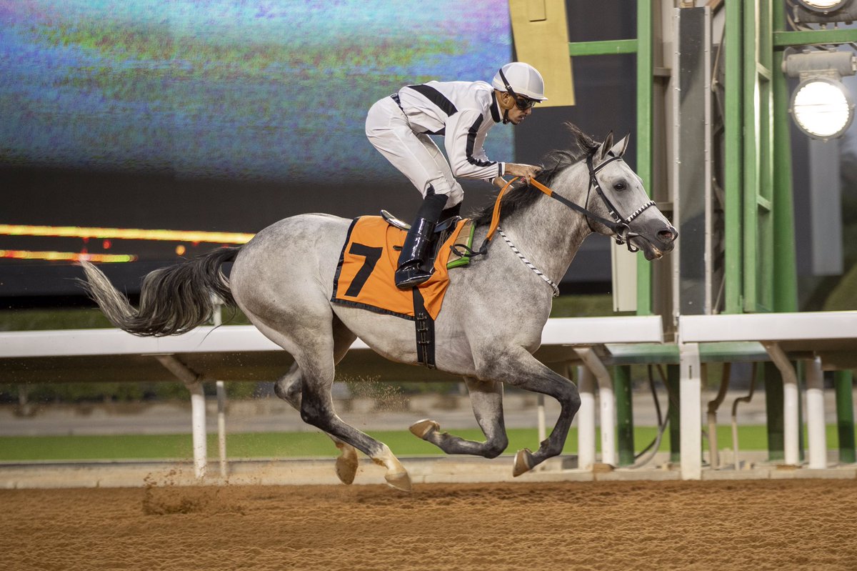JockeyClub_SA's tweet photo. نتيجة الشوط 6 

🤩الحفل (53)

📍الجواد تواق الخالدية 

ابن الفحل ليث الخالدية 

- المالك : اسطبلات الخالدية 

- المدرب : سعد مطلق مشرف 

- الخيال : عادل الفريدي

- المسافة : 2000م

- الزمن : 2:24:17⌚️

#نادي_سباقات_الخيل🇸🇦 https://t.co/taek7fBonK