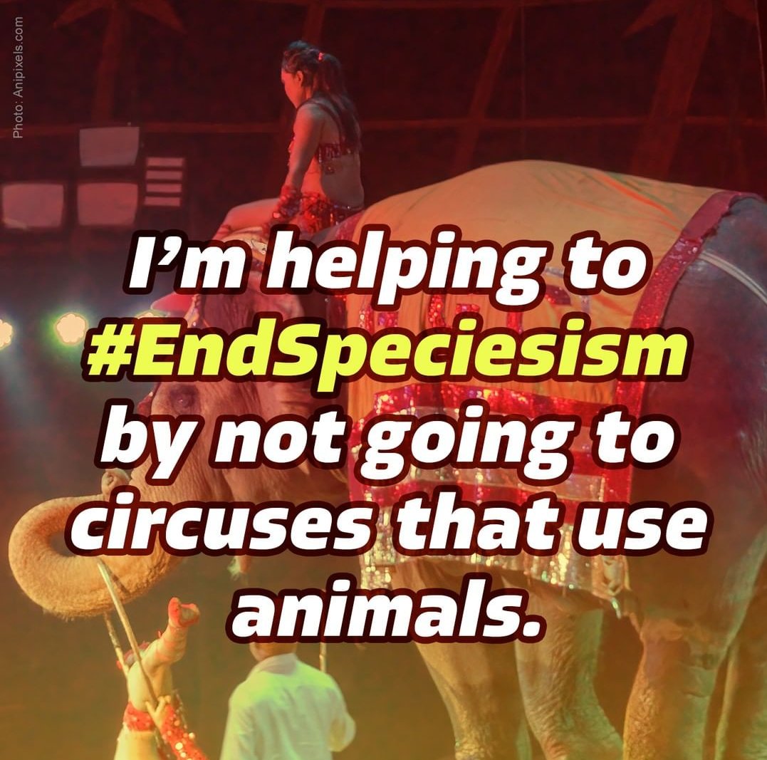 endanicruelty's tweet photo. What are you doing to #EndSpeciesism ?
@PetaIndia 
@peta https://t.co/edZRJYZ6xZ