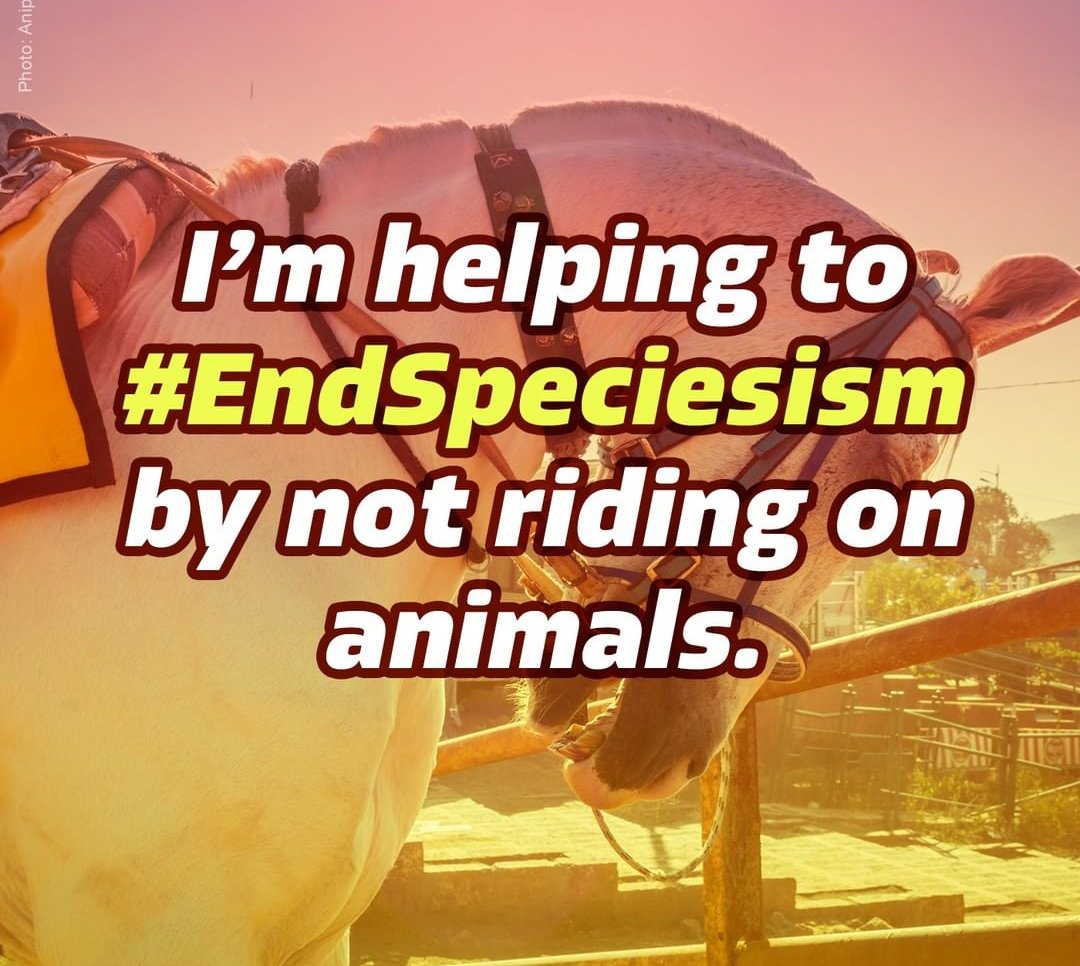 endanicruelty's tweet photo. What are you doing to #EndSpeciesism ?
@PetaIndia 
@peta https://t.co/edZRJYZ6xZ