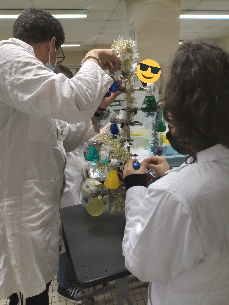 Lcardune's tweet photo. Les élèves de terminale STL biotechnologies du lycée Jean Monnet de Franconville décorent leur laboratoire aux couleurs de saison 🎄 https://t.co/JzBoOlwX0E