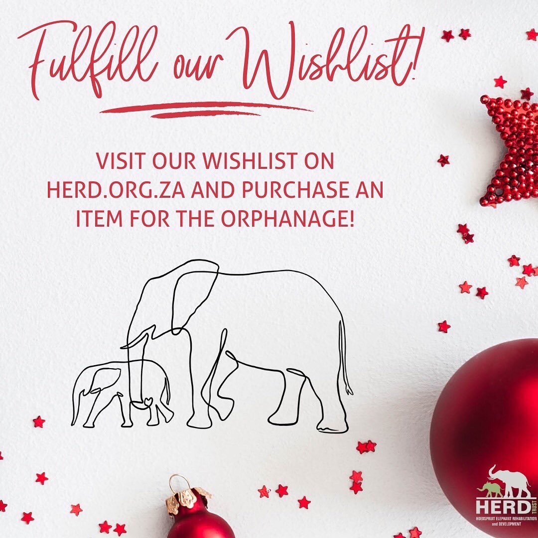 HERD_Elephants's tweet photo. Celebrate the festive season with HERD! ๐
โTis the season of giving and weโd love to invite you, our amazing online HERD family, to support HERD when doing your shopping this festive season.#HERDFest ๐ https://t.co/BGSSwF0sDJ
