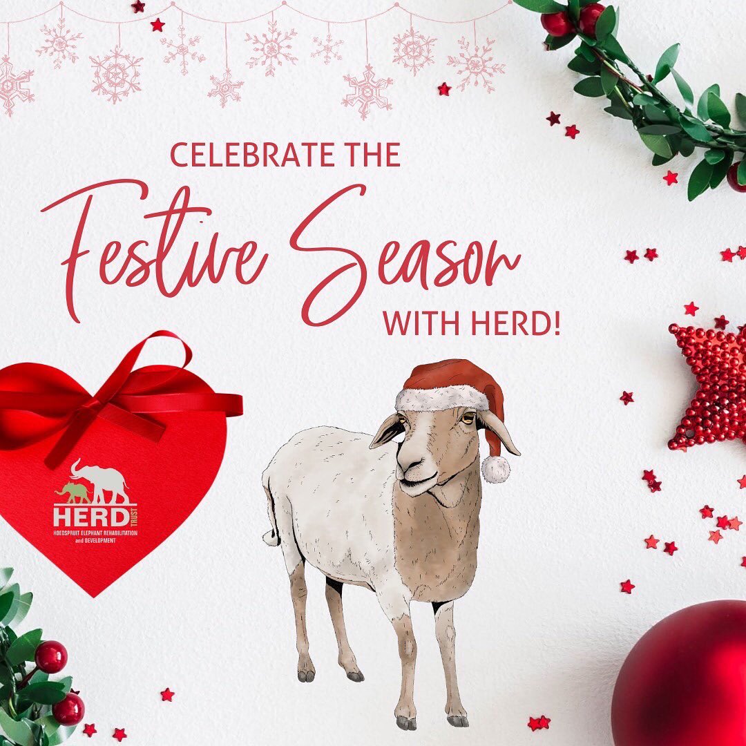 HERD_Elephants's tweet photo. Celebrate the festive season with HERD! ๐
โTis the season of giving and weโd love to invite you, our amazing online HERD family, to support HERD when doing your shopping this festive season.#HERDFest ๐ https://t.co/BGSSwF0sDJ