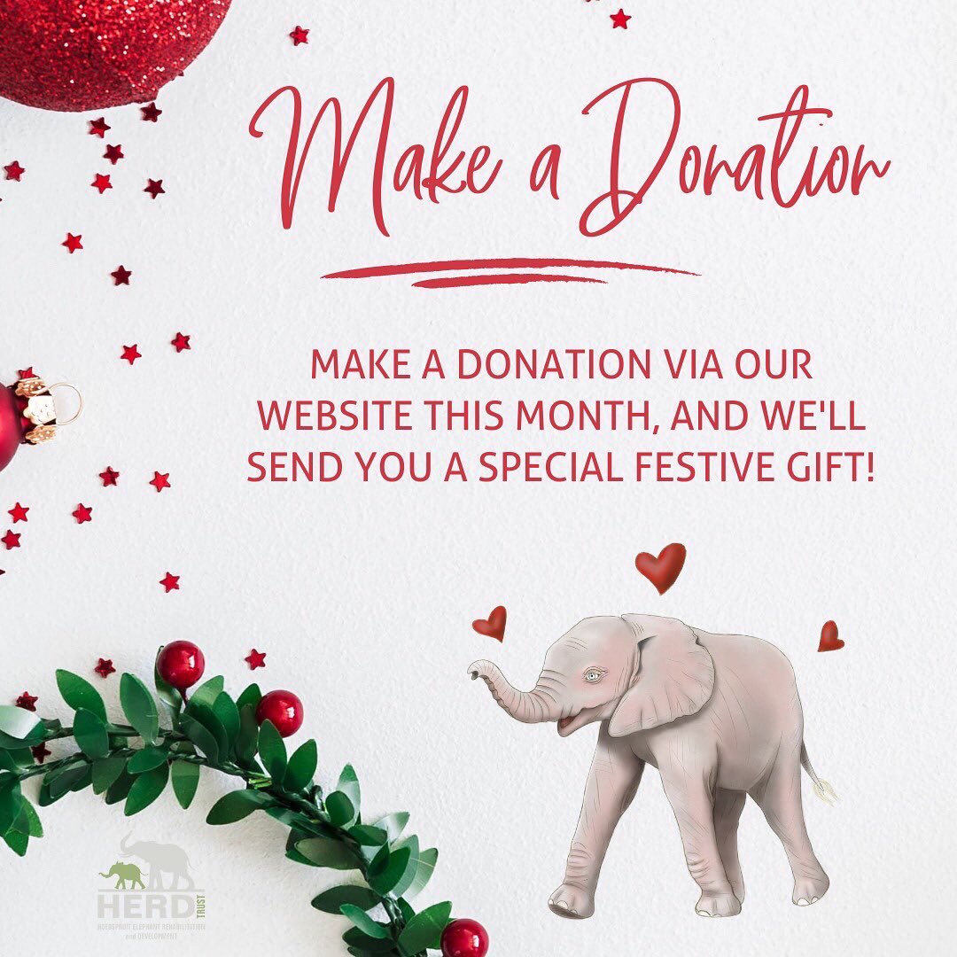 HERD_Elephants's tweet photo. Celebrate the festive season with HERD! ๐
โTis the season of giving and weโd love to invite you, our amazing online HERD family, to support HERD when doing your shopping this festive season.#HERDFest ๐ https://t.co/BGSSwF0sDJ