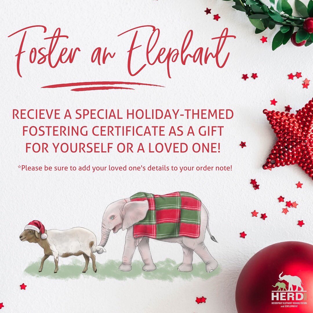 HERD_Elephants's tweet photo. Celebrate the festive season with HERD! ๐
โTis the season of giving and weโd love to invite you, our amazing online HERD family, to support HERD when doing your shopping this festive season.#HERDFest ๐ https://t.co/BGSSwF0sDJ