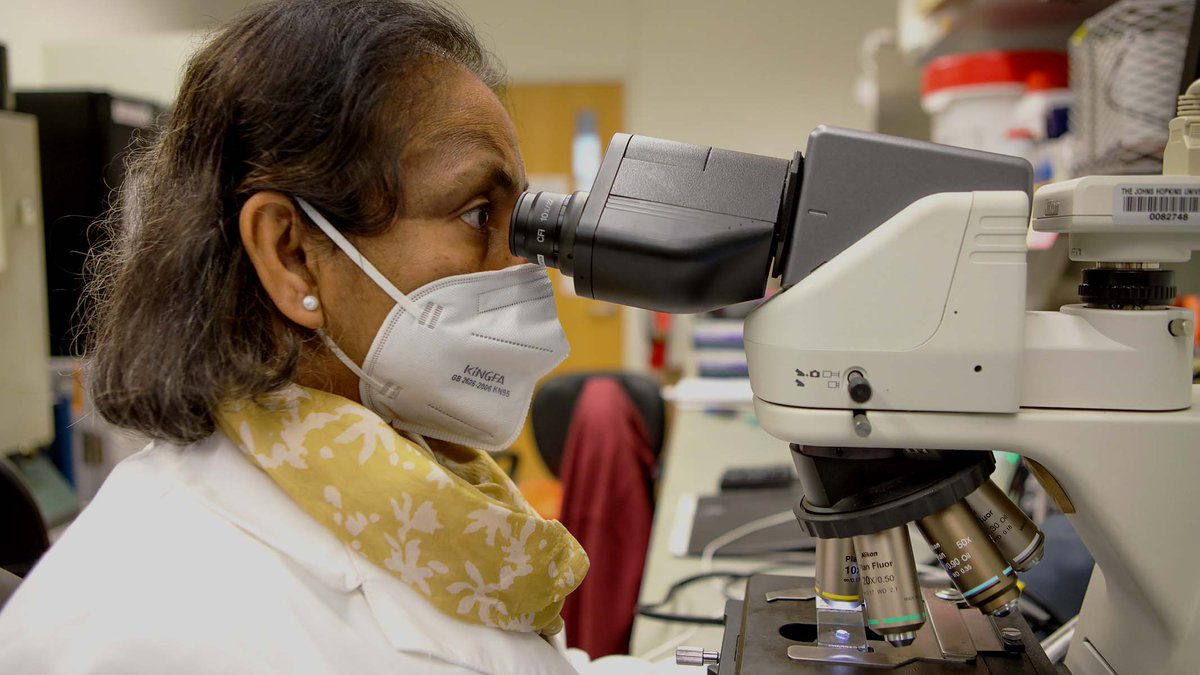 Investing in the development of new #TB drugs is not just a humanitarian imperative; it is sound economic policy as well. Learn more: bit.ly/CycleOfPoverty