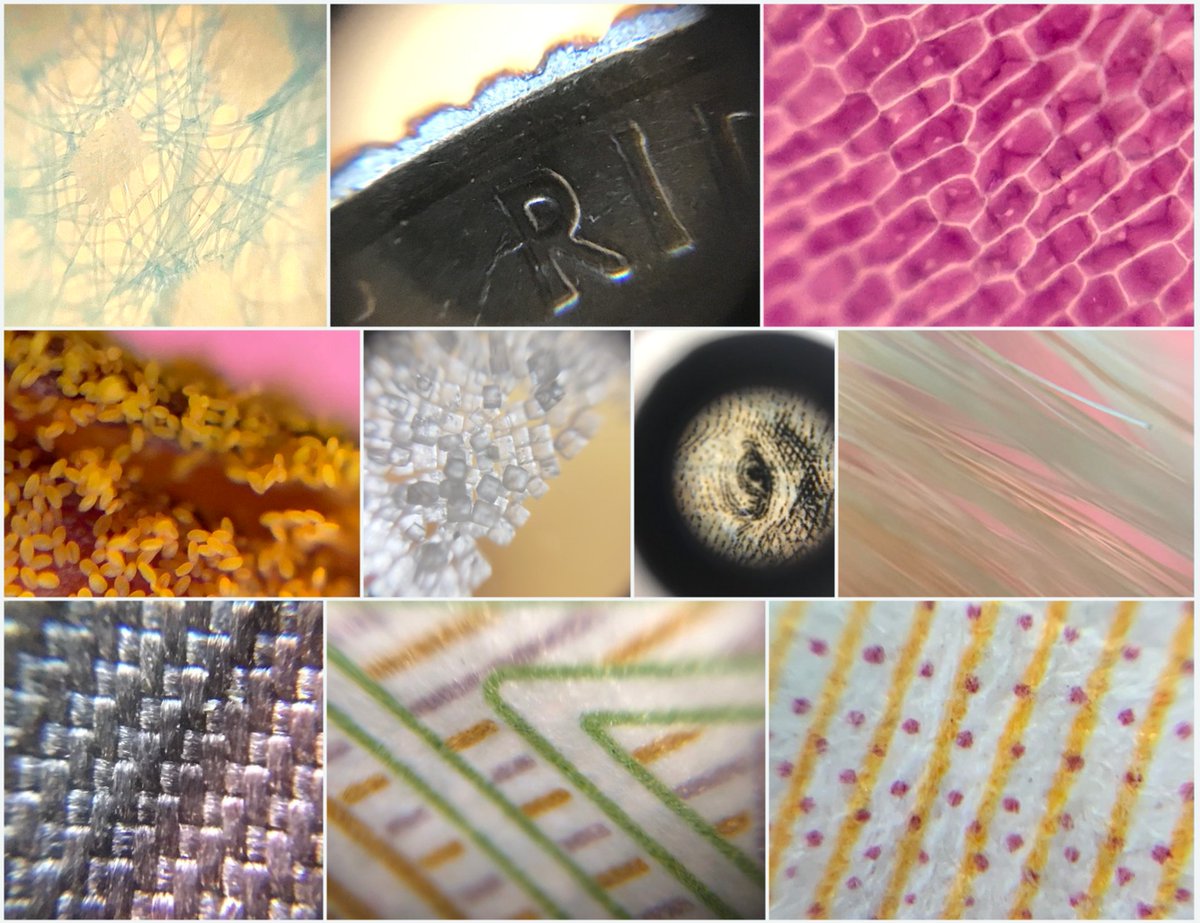 ScopesWorkshop's tweet image. Teachers @CabCoSchools took some beautiful photos on the microscopes they built this week! @ROSArockets #CabCoSchools #DIYmicroscopes #ncstem Here's the gallery of their photos:
flickr.com/photos/1945722…