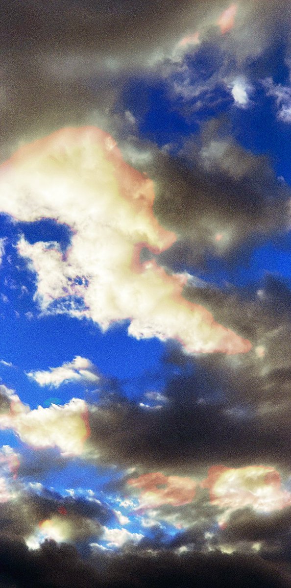 camareapp's tweet photo. new version 1.4.2 with new creative filter / insaturator named ‘Semi’ included in default kit https://t.co/sDRmmDhJVp