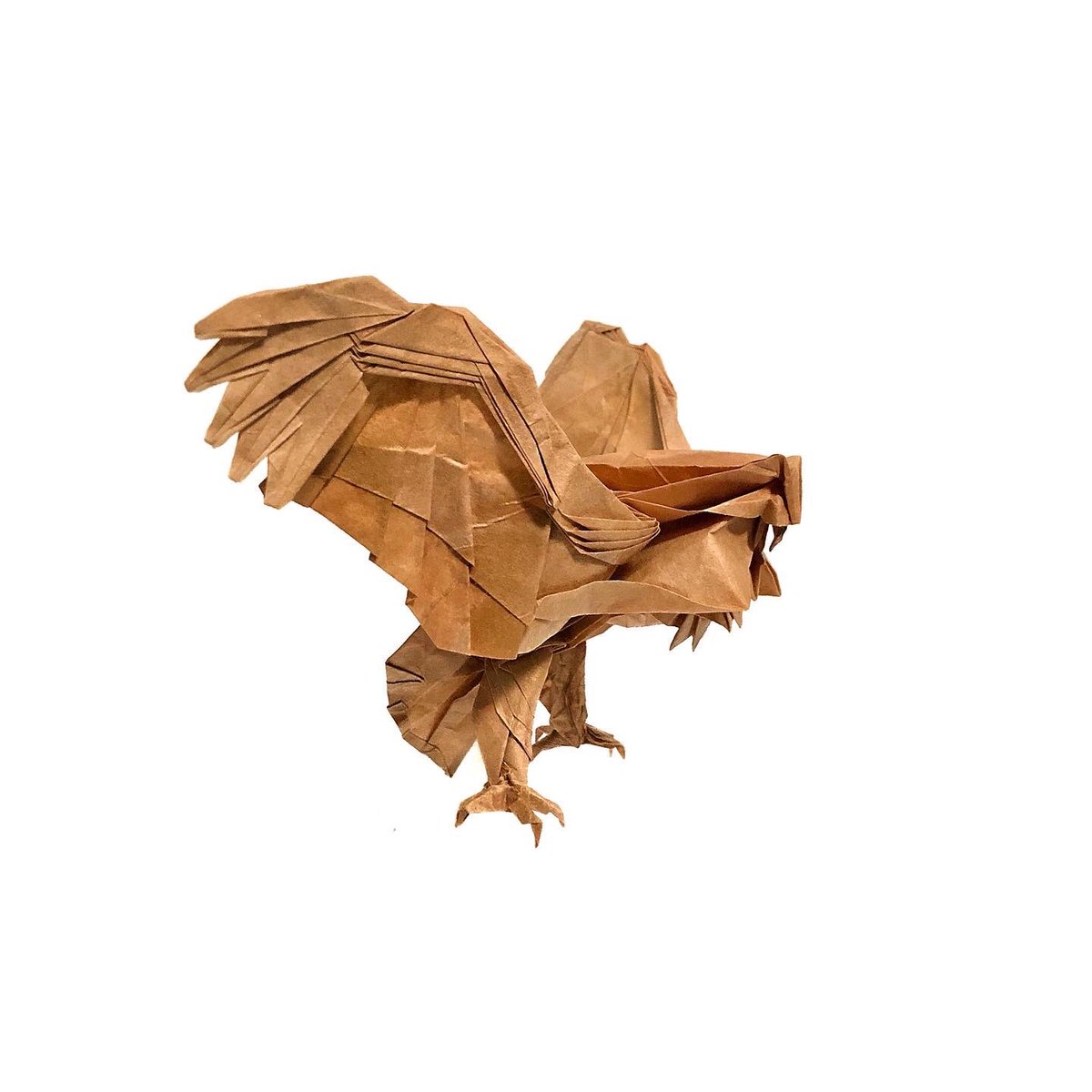 Cordialess's tweet photo. Blakiston’s fish owl designed by Katsuta Kyohei

#origami #origamiart #katsutakyohei #blakistonfishowl #owl #bird https://t.co/FHVkuOsjHy