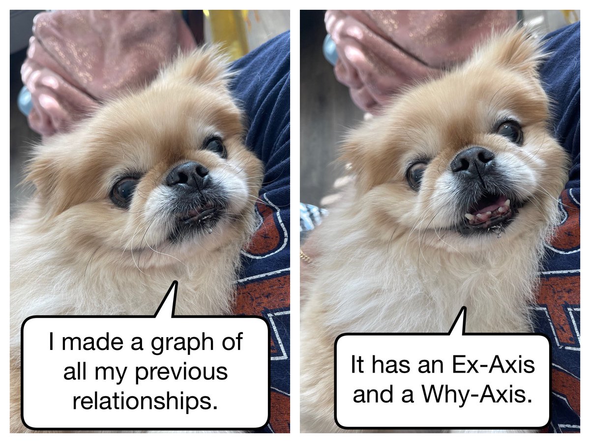 They finally made math more relatable. 
#MathHumor #Pekingese #funnydog #funny #caption #barkpost #memes