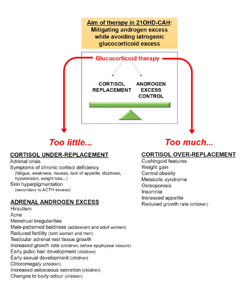 sociedadSEEN's tweet photo. 🆕Clinical advances in the pharmacotherapy of congenital adrenal hyperplasia

☑Antagonistas receptor CRF1: tto prometedor para evitar el reemplazo excesivo #GC en pacientes que no están controlados con pauta GC estándar o con Chronocort
https://t.co/RUNIt5VEOD
@NeuroendocrinoS https://t.co/BsXIZmHsNI