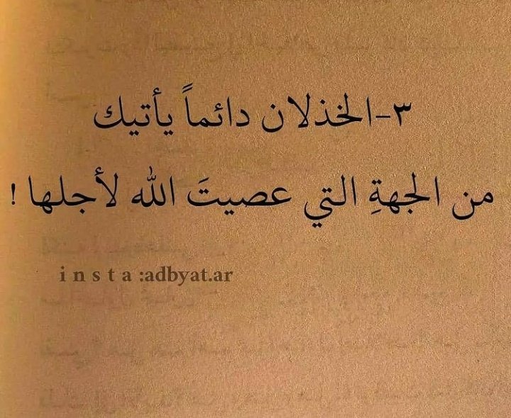 Mojtaba Alamein (@mojtabaalamein) on Twitter photo 