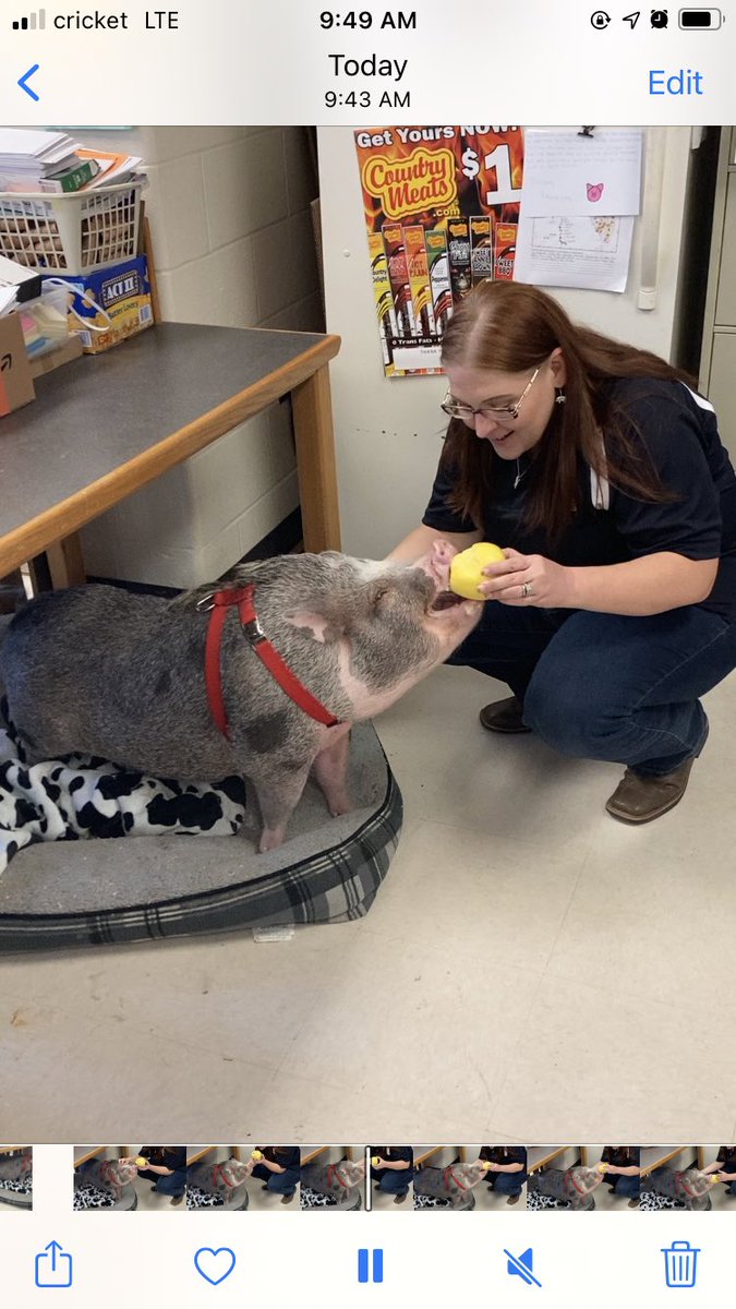 Congratulations to Mrs. Melinda Kimball of Horizon Academy at Marion Oaks on being selected as The Rookie Teacher of the Year for Marion County Public Schools!!! #Soooo deserving!! #Mrs. Kimball Rocks!! #CTE Programs. #Go Horizon!! 💛<a href="/theREALDonMaier/">Don Maier</a> <a href="/HorizonAcadFL/">HorizonMarionOaks</a>