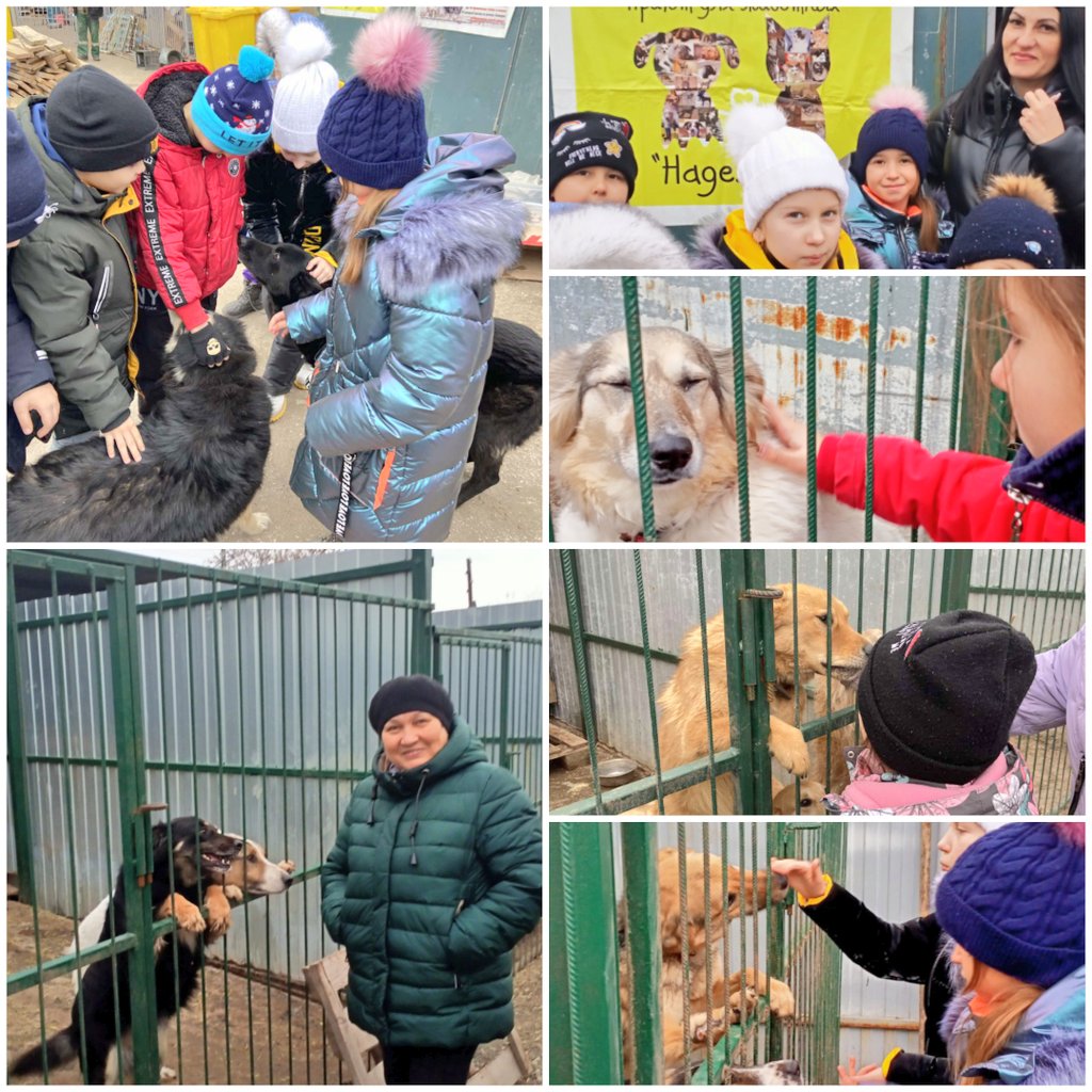 Волонтеры школы уч.1-9 кл. приняли участие в акции Эстафеты музеев ко Дню волонтера в России. Добровольцы собрали 85кг кормов для собак и сегодня  сделали "Новогодние подарки лохматым". Руководство приюта "Надежда"  поблагодарили школьников за помощь, рисунки и маленький концерт!