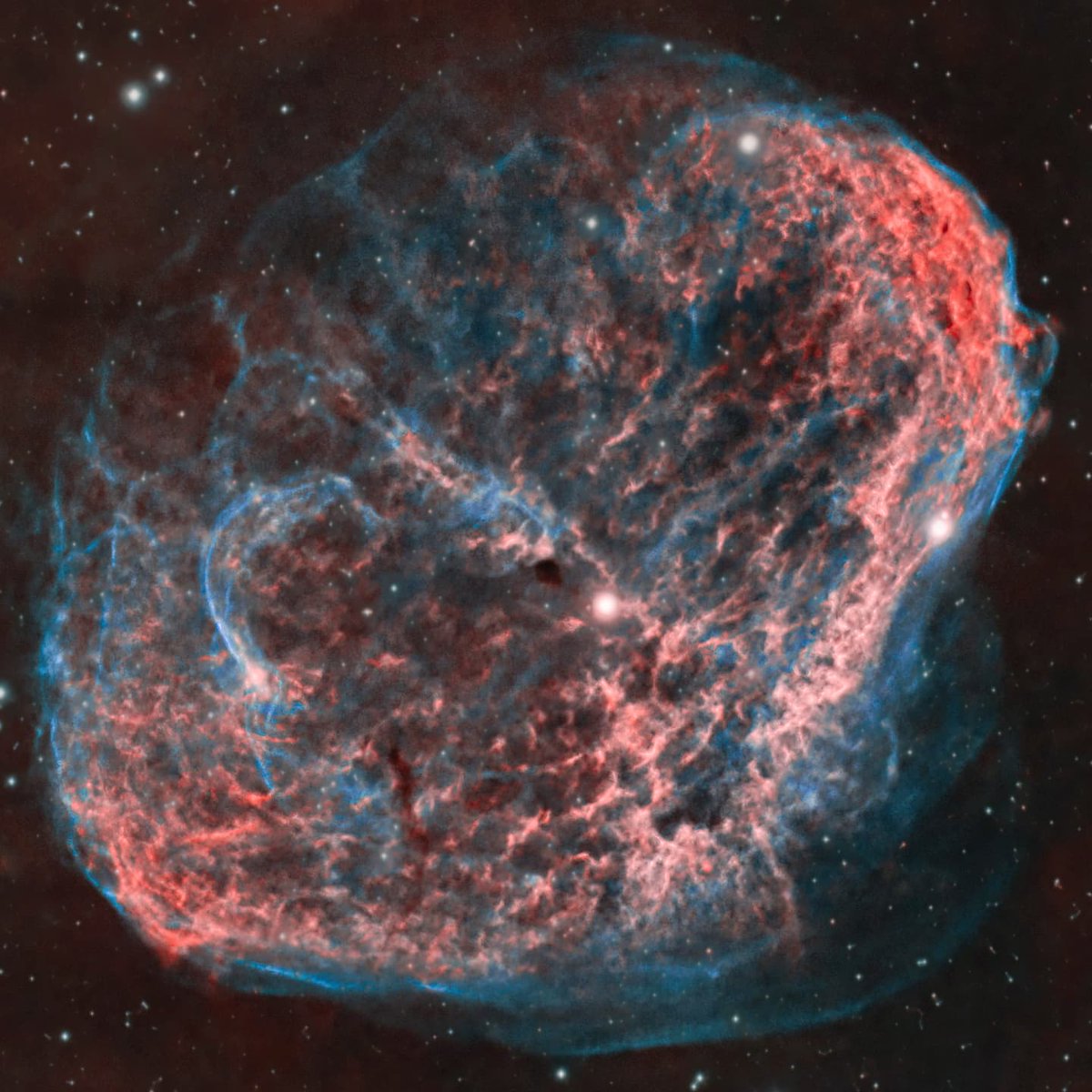 Mathew Ray tweet media