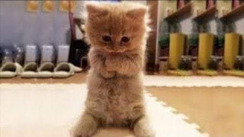 aladiimi's tweet photo. @0l__33 https://t.co/bny4ZHjePK
