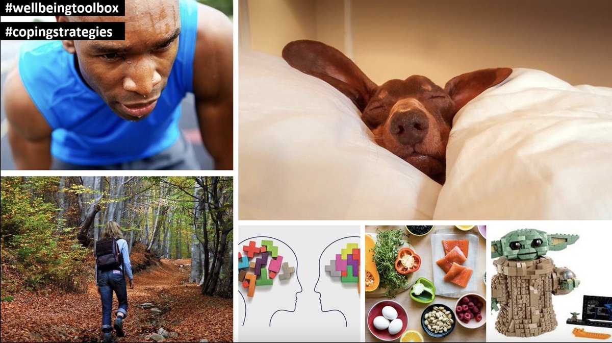 TeamMediaocean's tweet photo. Some great tips from @nicholasjemetta on looking after your #mentalhealth - focus on:
π nutrition
β½οΈ exercise & taking walks
π΄ proper sleep
π³ being in nature
π talking & listening
π journaling
#wellbeingtoolbox
#copingstrategies https://t.co/rGx6E3DNLK