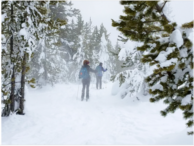 NPS_SeasonalSO's tweet photo. Winter is here - bundle up and stay warm!! Fresh Air Friday, #FindYourPark - https://t.co/zyM114HOXH #NPS  #FreshAirFriday #JoinInterior #PeopleofInterior #PlotYourPath #NPSYouth #PublicLands #ParkExperiences #DOI  #RecreateResponsibly @NatlParkService @NatParkTrust @RecreateInfo https://t.co/xRmocd0GCN