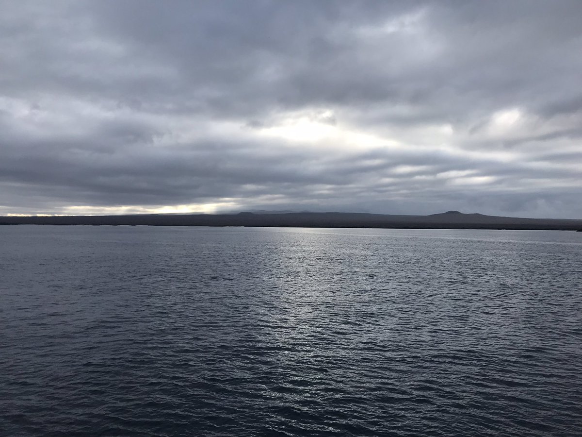 Chris Campbell tweet media