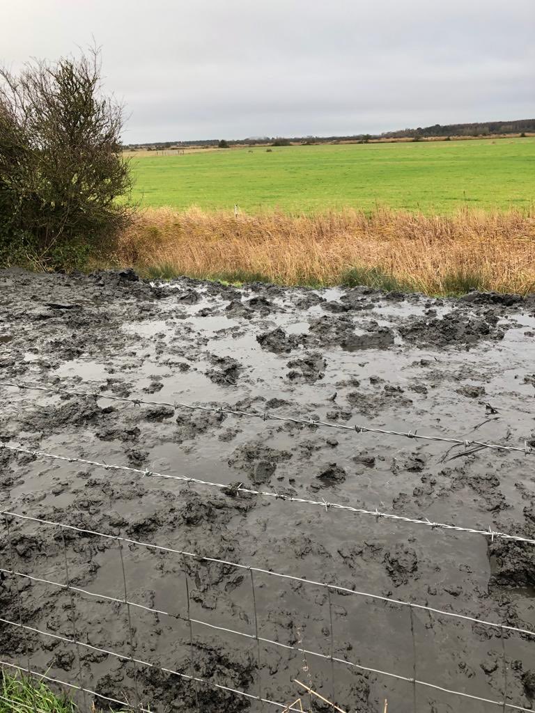 DeTom48's tweet photo. We removed up to 10 tonne of silt per width of excavator #NorthStream #Hacklinge this will reduce next years weed growth and improve water conveyance. Well done #StourFieldTeam @EnvAgencySE @canterburycc @Kent_cc @ADA_updates https://t.co/CA835xxWey