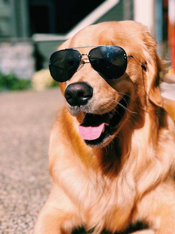 🕶️