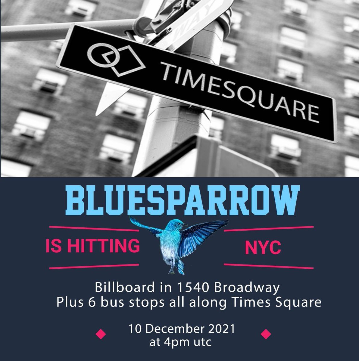 ShannonBrayNC's tweet photo. 👀 Hey #nyc, today, the #bluesparrow is landing in NY #TimesSquare starting at 4 PM Est.

If you are in the area, post photos and tag me and #BlueSparrowtoken.

I will take the best entry and make an #NFT based off of community vote. 

#bluesparrowarmy #BlueSparrowCommunity https://t.co/BcCIQR36fE