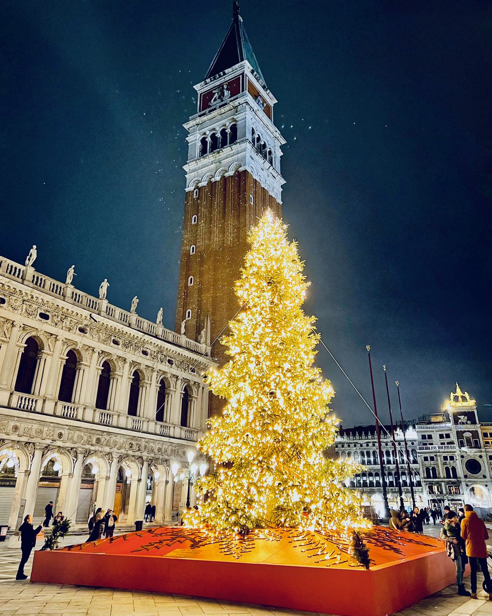 #Natale a #Venezia 
Ritorna l’albero tradizionale che illumina San Marco. Meraviglioso