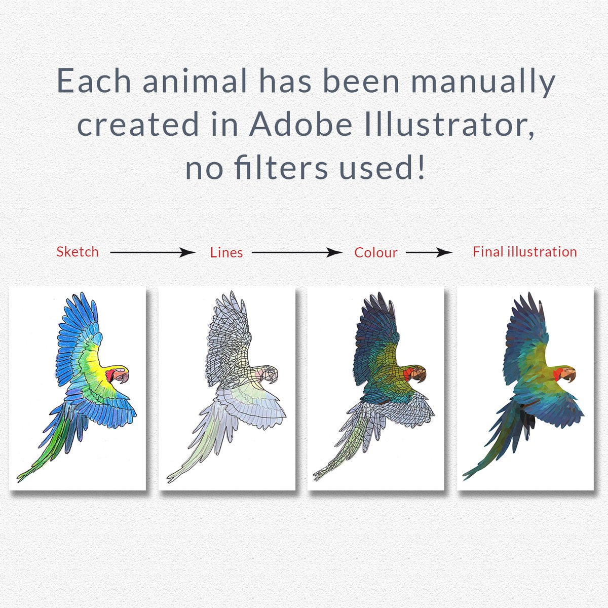 dfonedesign's tweet photo. A collection of more than 80 polygonal animals in Adobe Illustrator.
Ideal for branding, textiles, packaging, artwork, wallpaper, books, invitations &amp; much more.
https://t.co/WiEDDiwEz9
https://t.co/m6xGbea1CG
#branding #artwork #packaging #textiles #polygonalillustrations https://t.co/Ztx3Hj4eRu